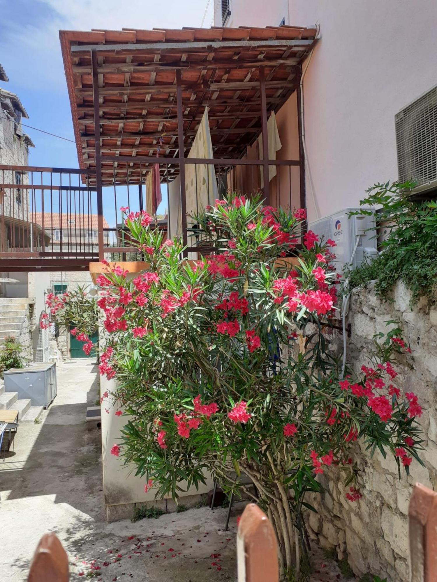 Oleander Apartments Split Kültér fotó